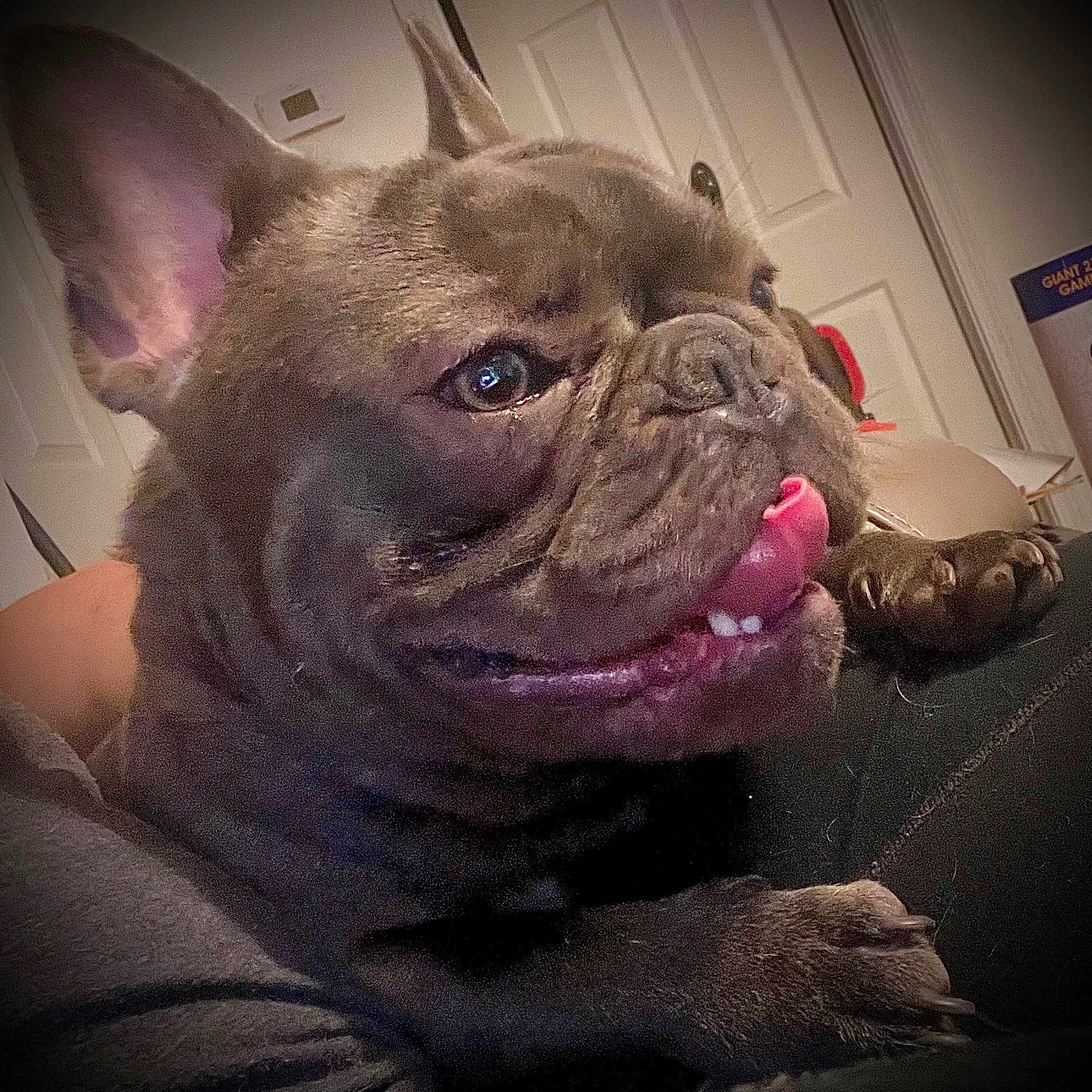Jacques