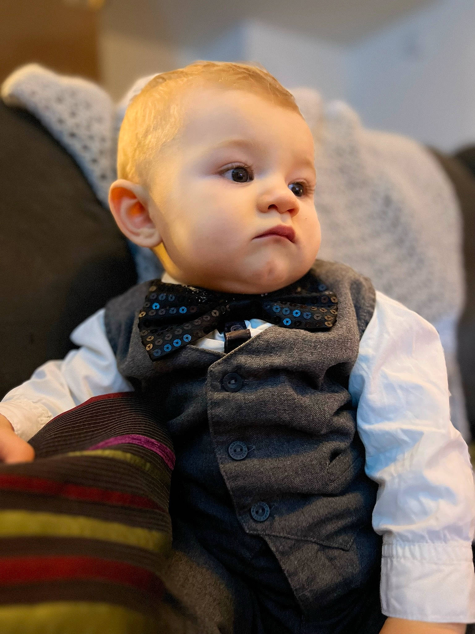 Gianni a rejoint le concours — aidez-le/la à gagner de superbes lots ! baby, baby_toddler_clothing, cheek, child, collar, comfort, dress_shirt, flash_photography, fur, happy, iris, pattern, person, portrait_photography, sitting, sleeve, toddler, wood, wool, woolen
