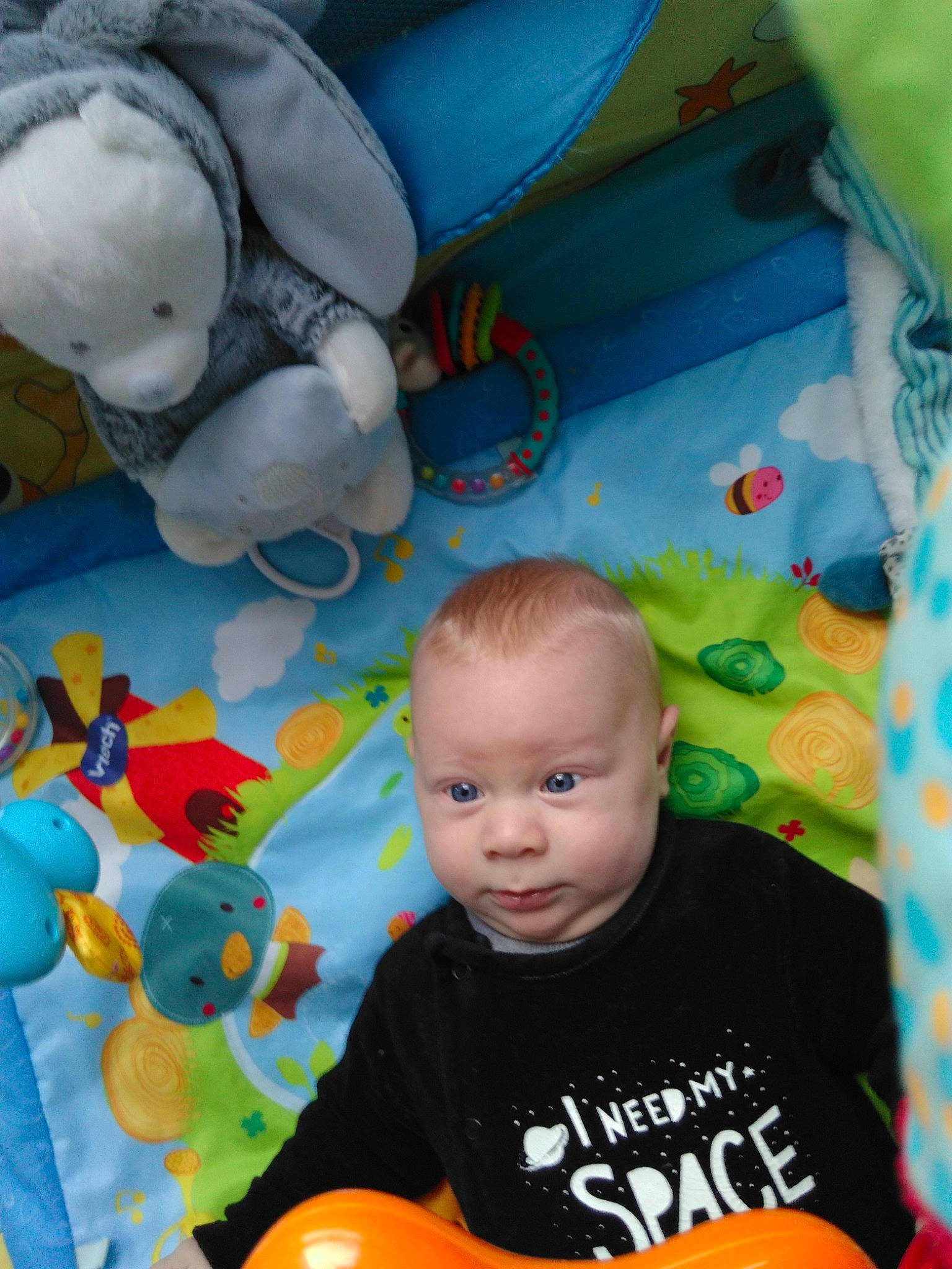 Eloan a rejoint le concours — aidez-le/la à gagner de superbes lots ! aqua, baby, baby_mobile, baby_playing_with_toys, baby_products, baby_toddler_clothing, baby_toys, blue, child, orange, person, play, plush, stuffed_toy, toddler, toy