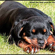 Hawai a rejoint le concours — aidez-le/la à gagner de superbes lots !