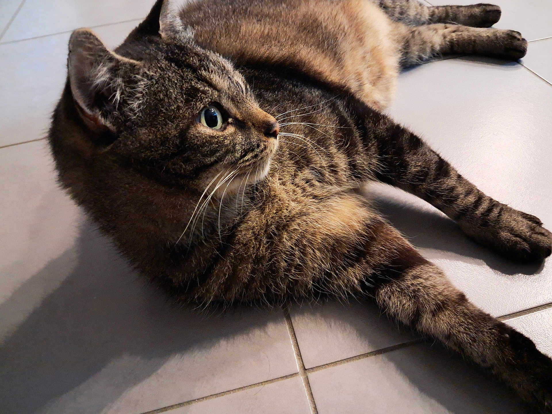 Mimi