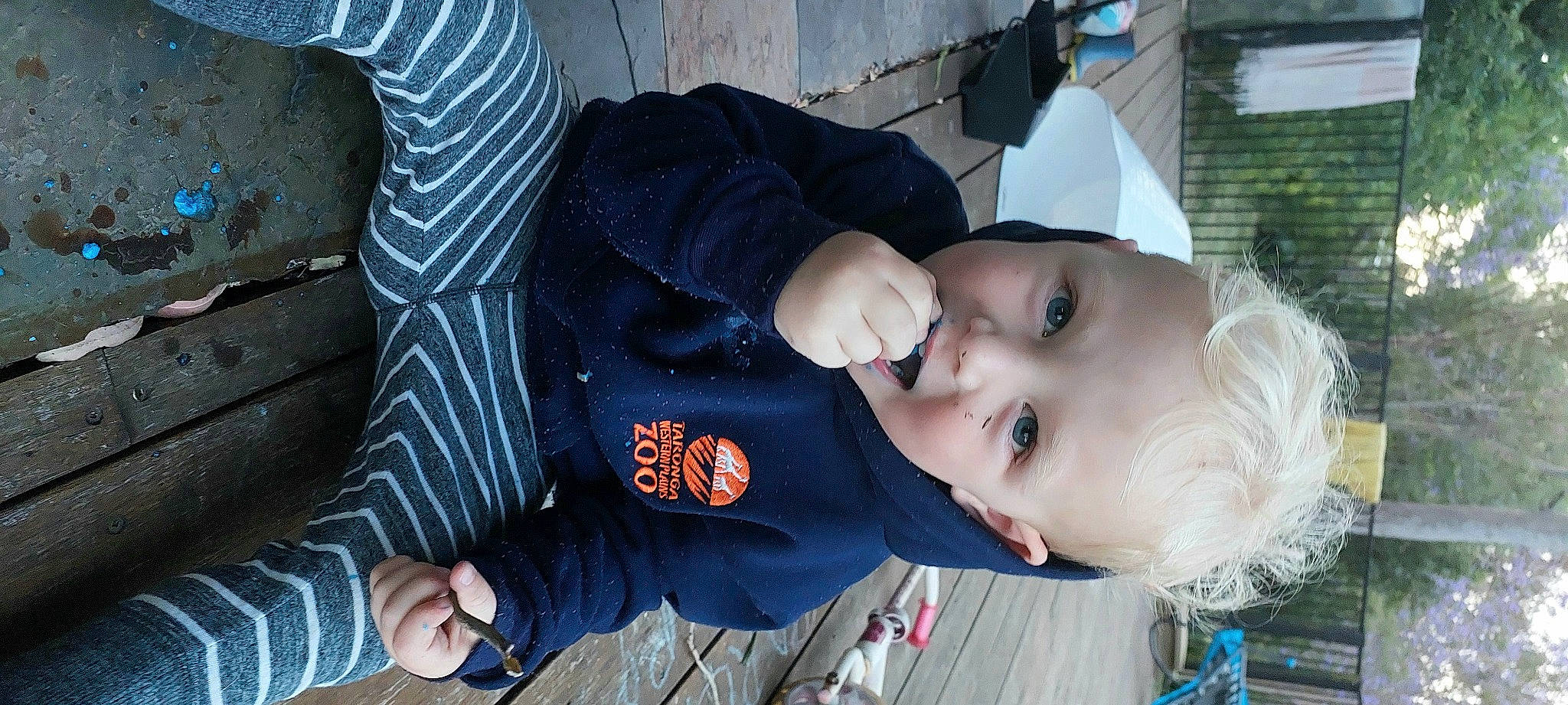 Archer is registered to the contest to win money with this photo: baby, baby_toddler_clothing, cheek, child, clothing, comfort, fun, grass, happy, hat, mouth, nose, person, sitting, sleeve, toddler, tree