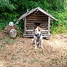 dog, doghouse, wooden, outdoor, greenery, grass, pet, animal, nature, brown_patch, sitting, canine, yard, leaves, sunlight, shrubbery, small_house, wood, domestic_animal, quiet