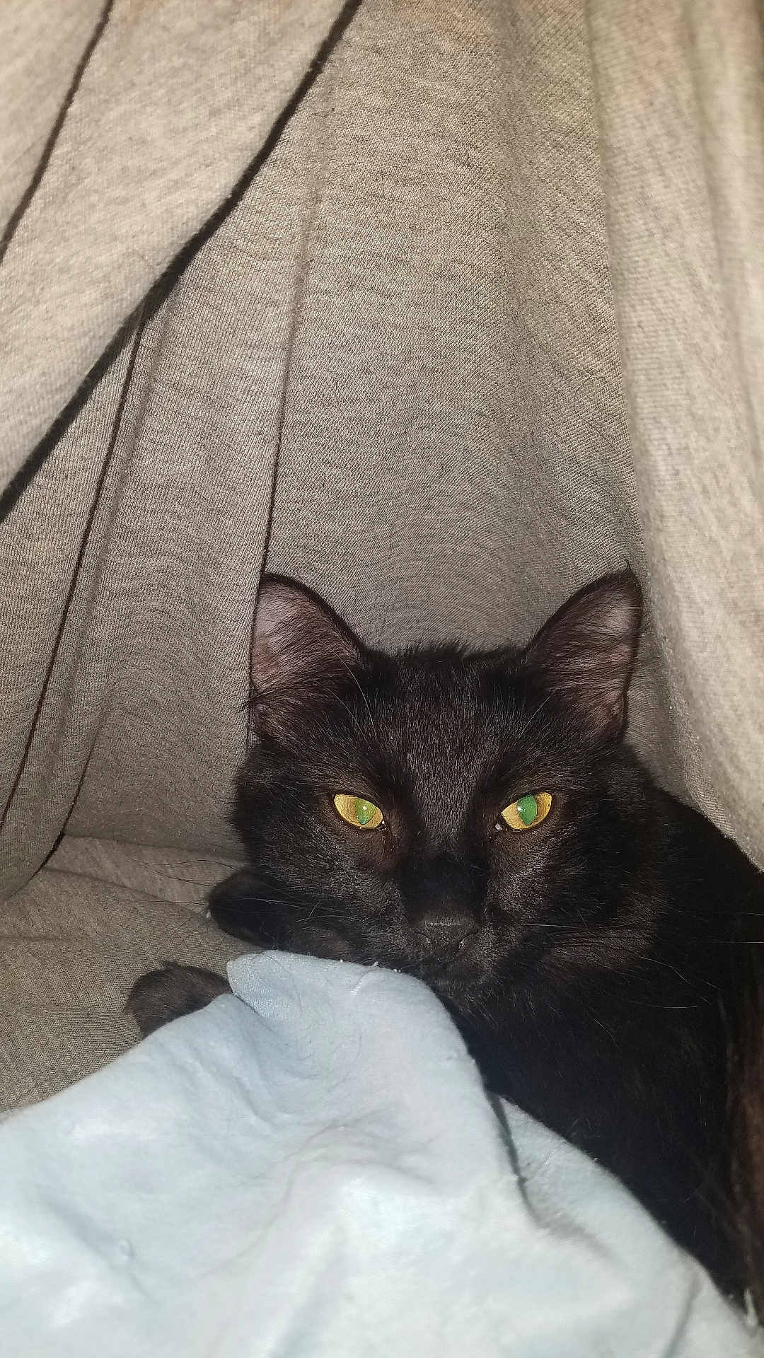 Fergus