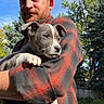 man, puppy, dog, pet, outdoor, trees, sky, plaid_shirt, beard, smile, nature, grass, fence, sunlight, portrait, holding, animal, cute, young, daytime