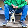 puppy, dog, person, jeans, green_hoodie, sitting, wooden_steps, casual, outdoor, shoes, pet, young_dog, cute, animal, relaxed, portrait, daylight, friendly, companion, leisure