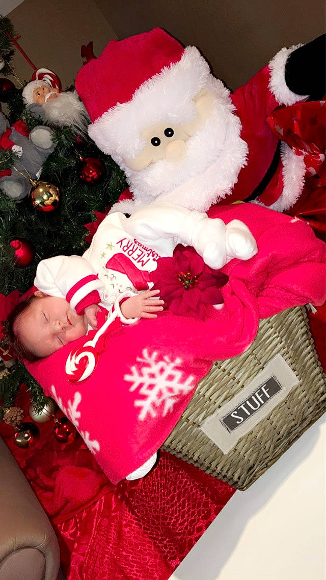 Sïnaya participe au concours pour gagner de l'argent avec cette photo : carmine, christmas, christmas_decoration, christmas_ornament, christmas_tree, event, fur, holiday, holiday_ornament, magenta, ornament, pattern, person, pink, plush, red, room, stuffed_toy, teddy_bear, textile