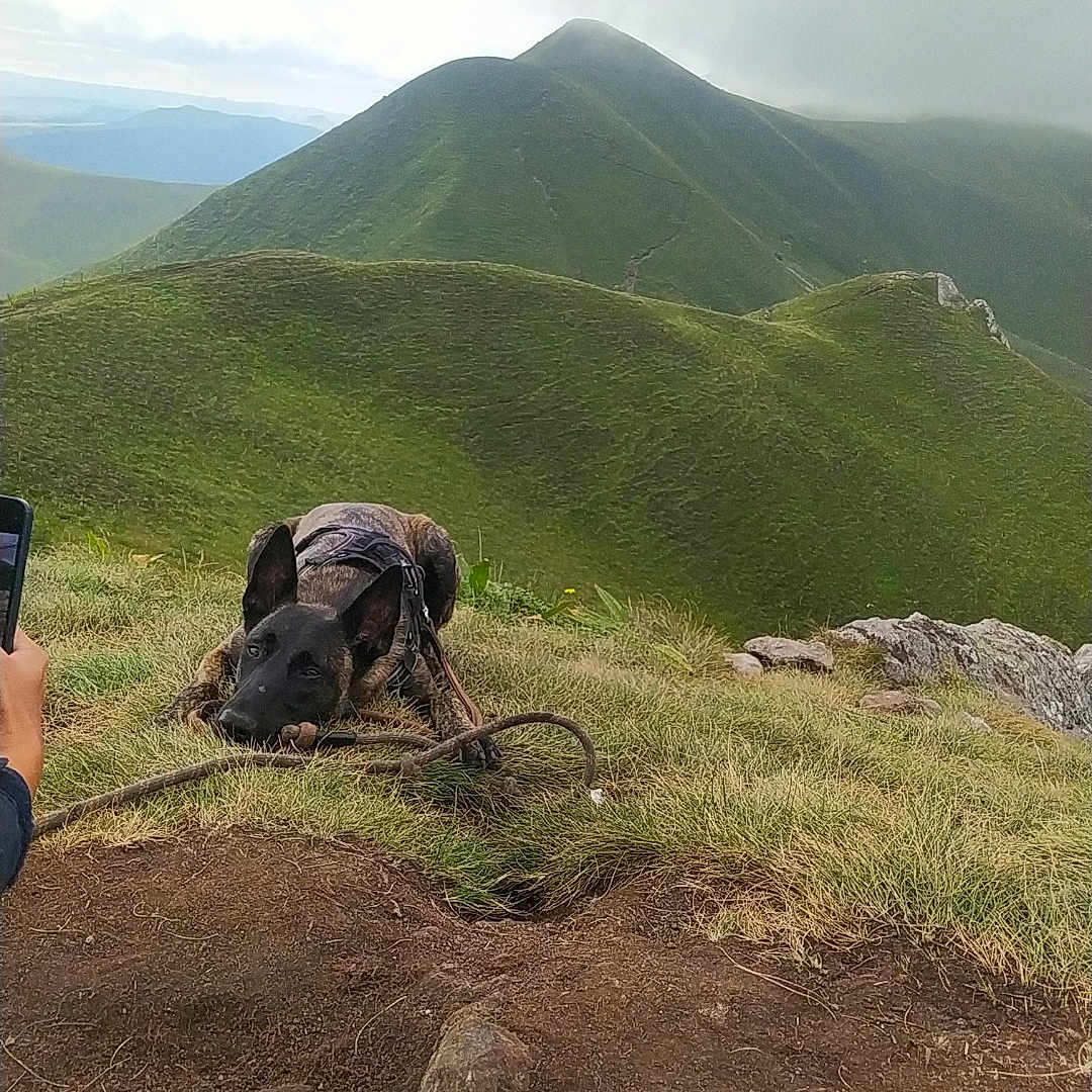 Suky a rejoint le concours — aidez-le/la à gagner de superbes lots ! adventure, backpack, bag, grass, hiking, landscape, leisureactivities, mountain, mountainrange, nature, outdoors, peak, person, photography, plant, rock, scenery, soil, vegetation, wilderness