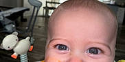 Dawson joined the competition — help win amazing prizes! baby, bib, child, closeup, clothing, cute, expression, face, food, happy, head, highchair, indoor, infant, messy, mouth, orange, person, smile, toy