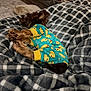 Willow joined the competition — help win amazing prizes! blanket, brown_fur, clothing, comfort, cozy, cute, dog, fur, indoors, pajamas, patterned_clothing, pet, plaid, puppy, relaxed, resting, sleeping, small_dog, soft_texture, yellow_ducks