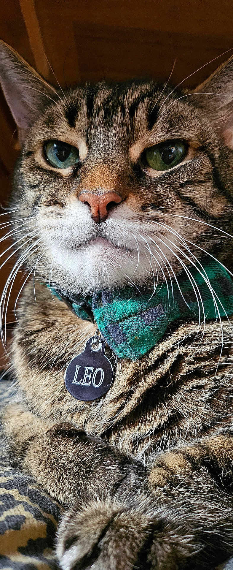 Leo