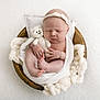 newborn, baby, infant, sleeping, blanket, wooden_bowl, knitted_toy, teddy_bear, headband, white, soft_texture, fluffy, wrapped, cute, peaceful, portrait, closeup, hand, foot, cozy