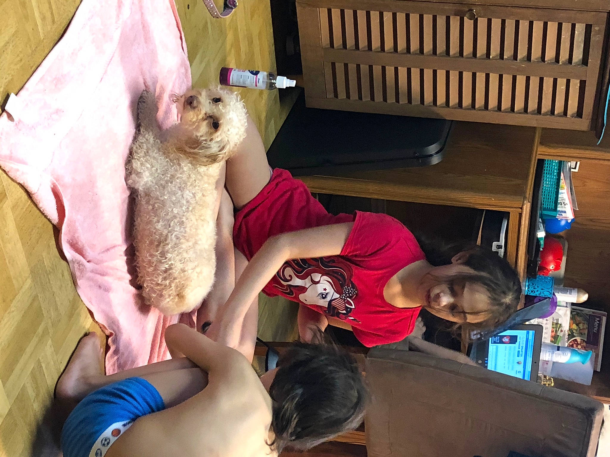 Cristal Febus is registered to the contest to win money with this photo: canidae, carnivore, cat, fawn, felidae, marsupial, weimaraner