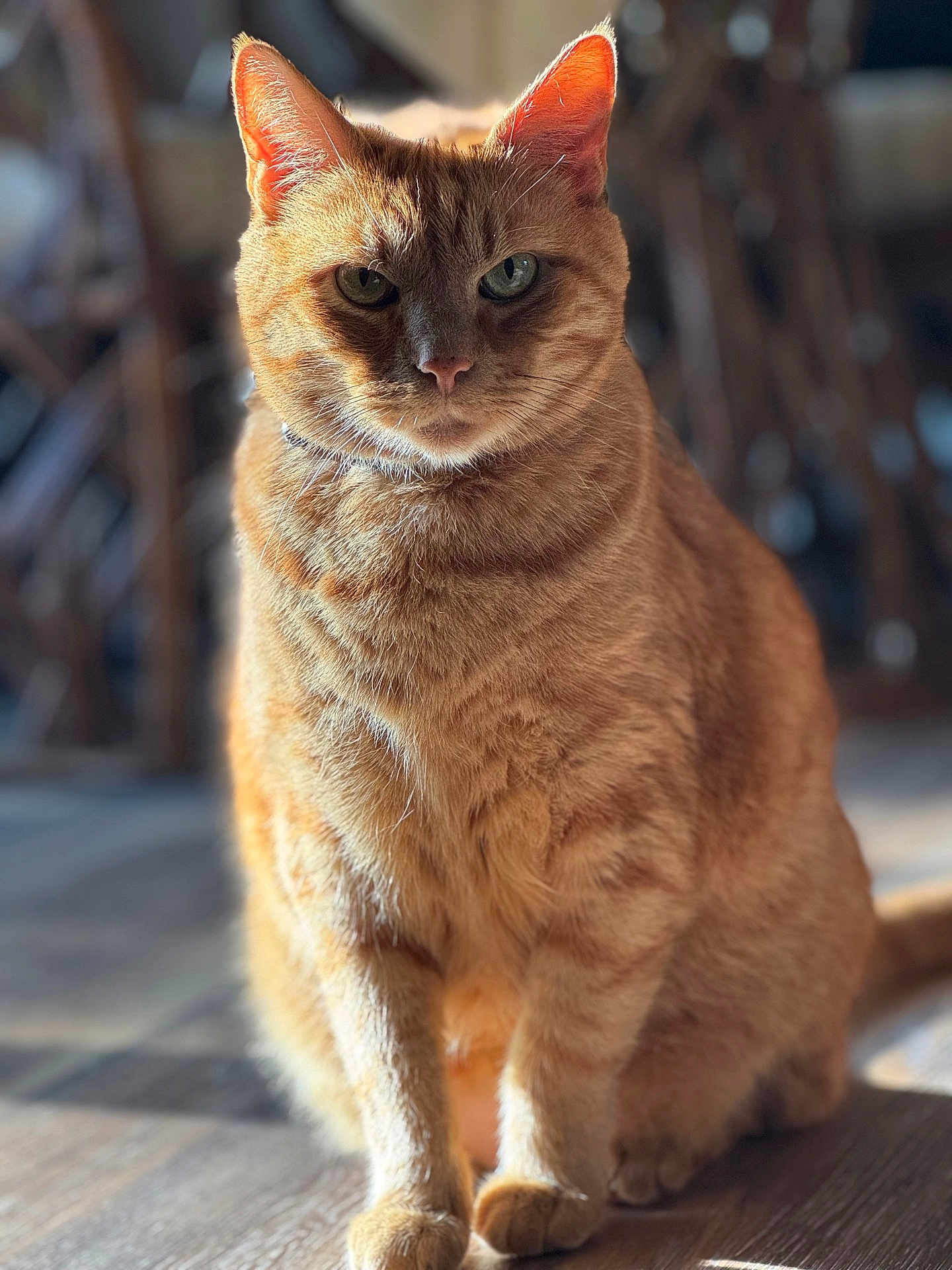 Charlie