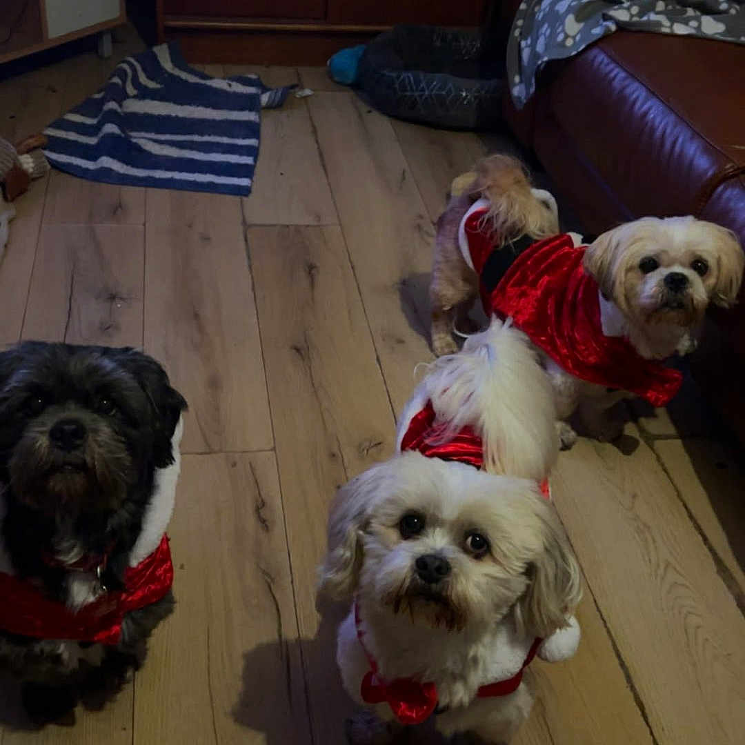 Max Harley And Charlie