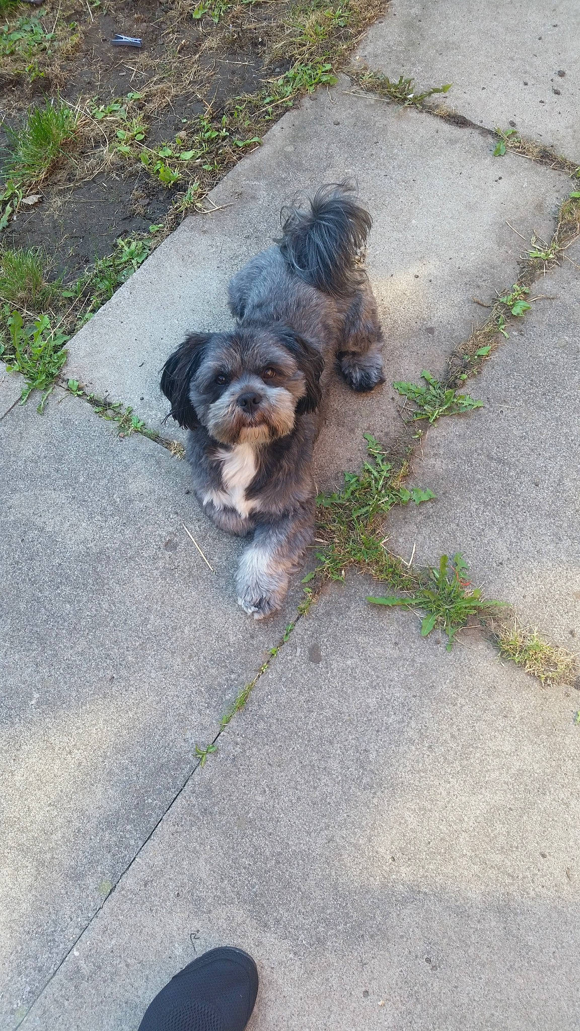 Max is registered to the contest to win money with this photo: