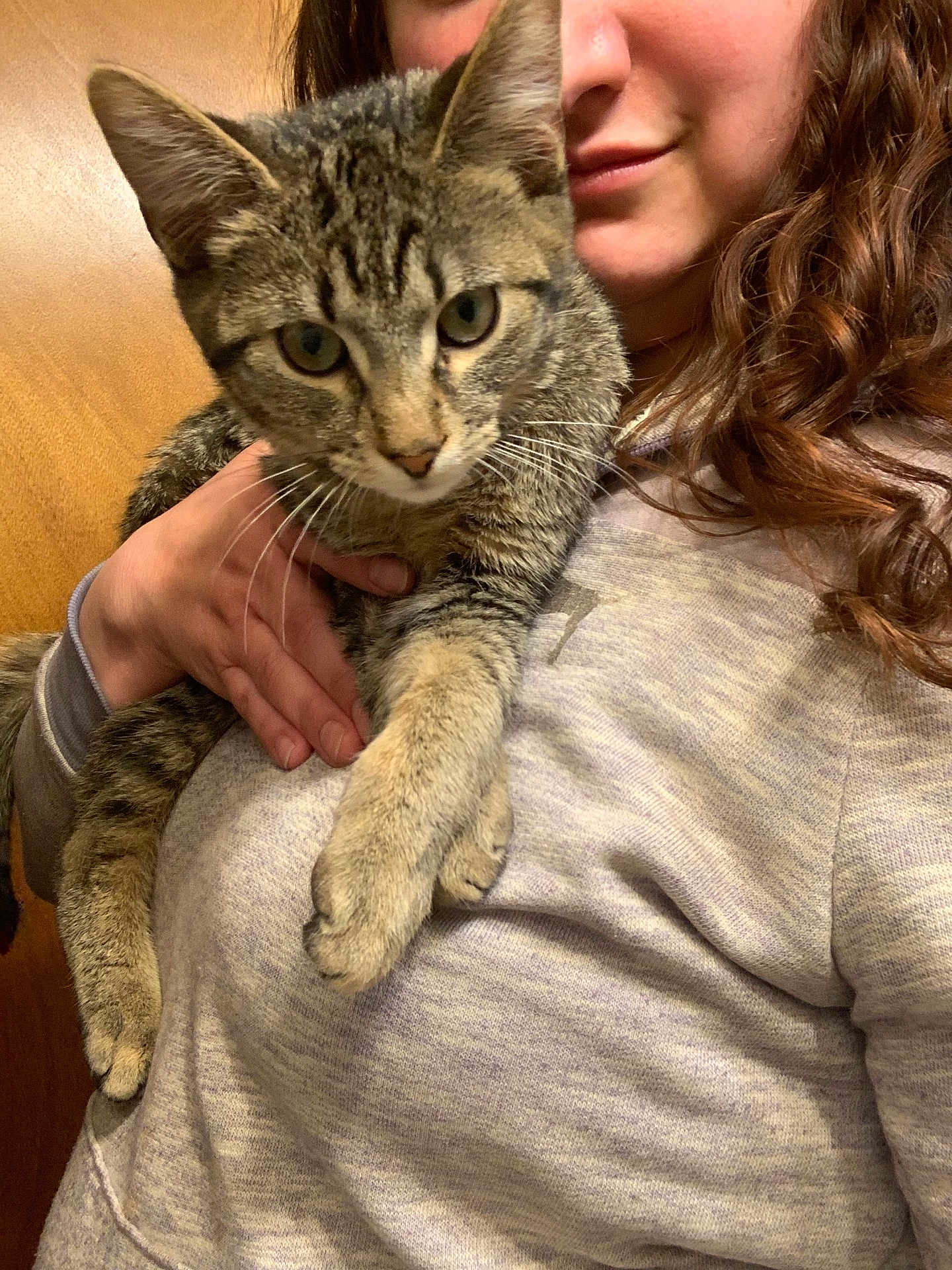 Marshmallow is registered to the contest to win money with this photo: cat, tabby_cat, person, hand, face, fur, whiskers, indoor, casual_clothing, smile, curly_hair, holding, pet, animal, close_up, warm_lighting, cozy, portrait, feline, domestic_animal