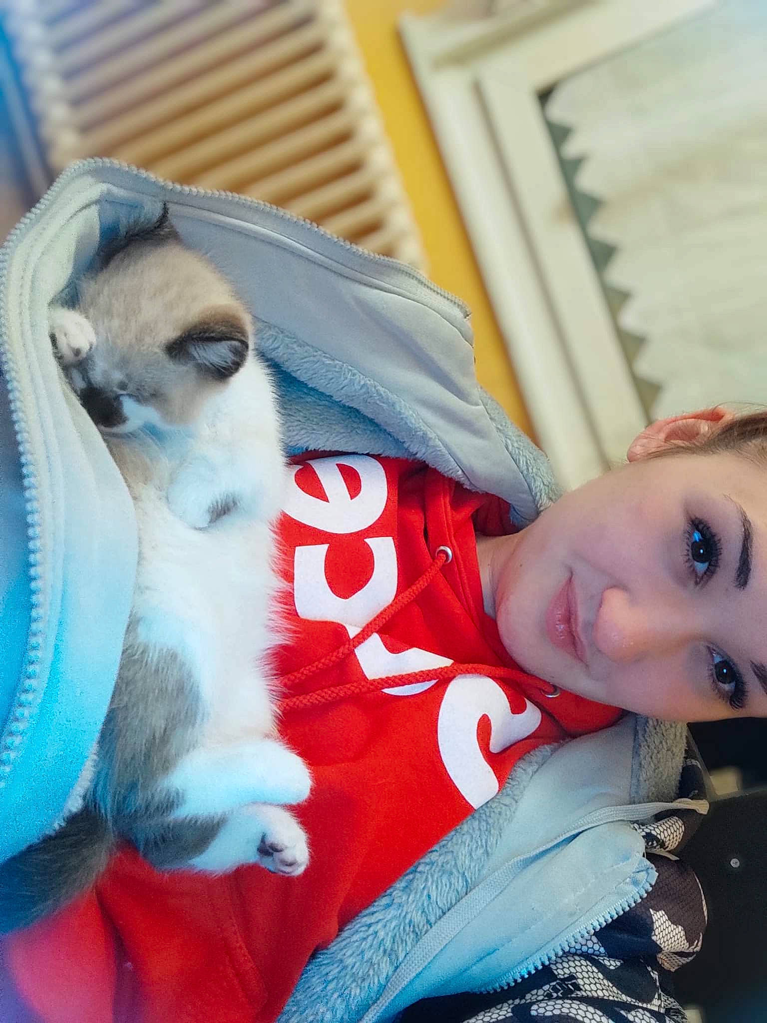 Zimba participe au concours pour gagner de l'argent avec cette photo : blue, canidae, carnivore, companion_dog, dog_breed, electric_blue, fawn, felidae, fun, fur, happy, pattern, paw, plaid, portrait_photography, sitting, skin, smile, sporting_group, whiskers