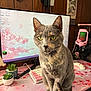 cat, feline, pet, green_eyes, sitting, desk, computer_monitor, keyboard, mouse, microphone, succulent, pink, floral, desk_mat, gaming_setup, workspace, portrait, wood_paneling, ears, whiskers