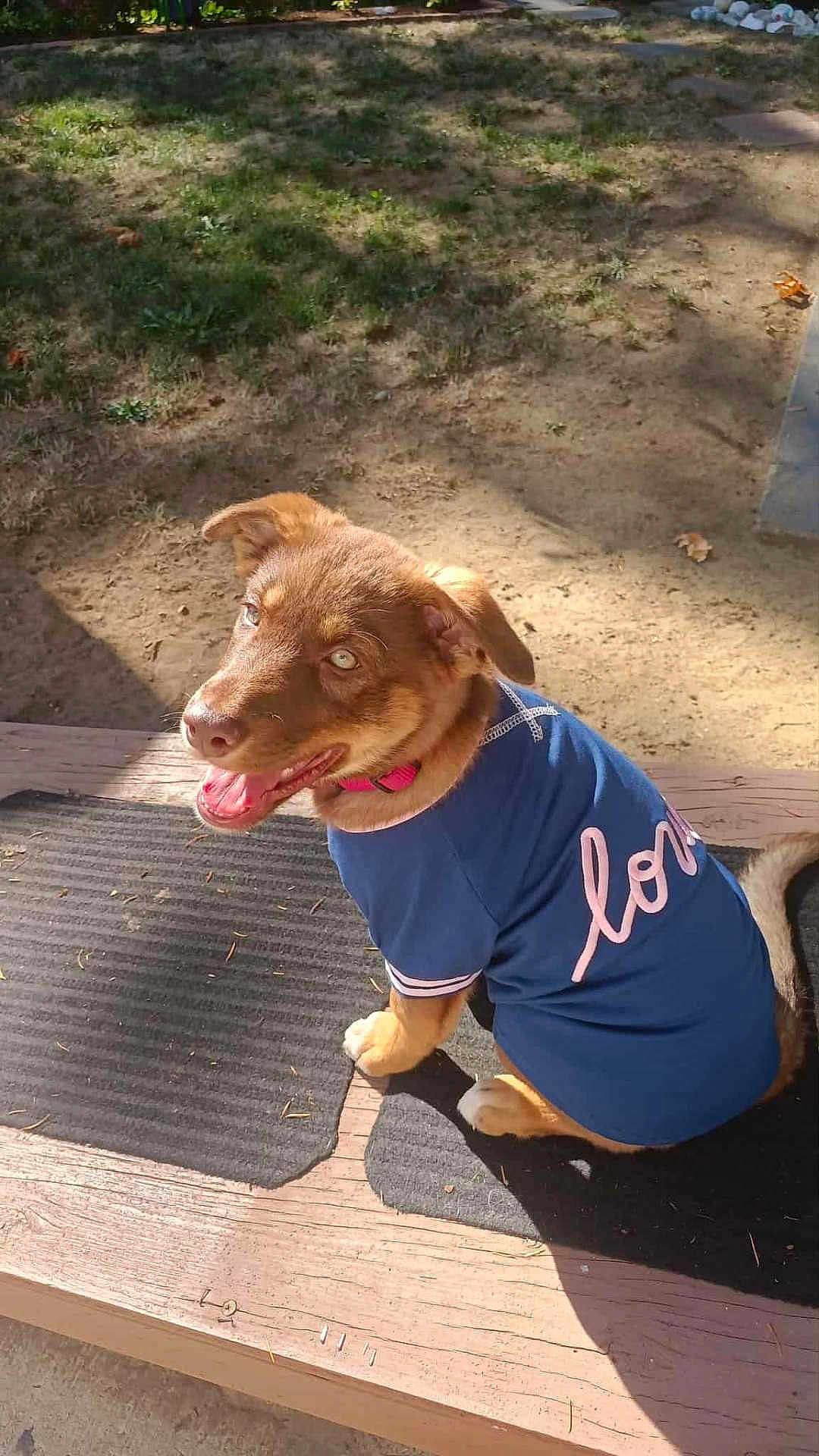 Kali