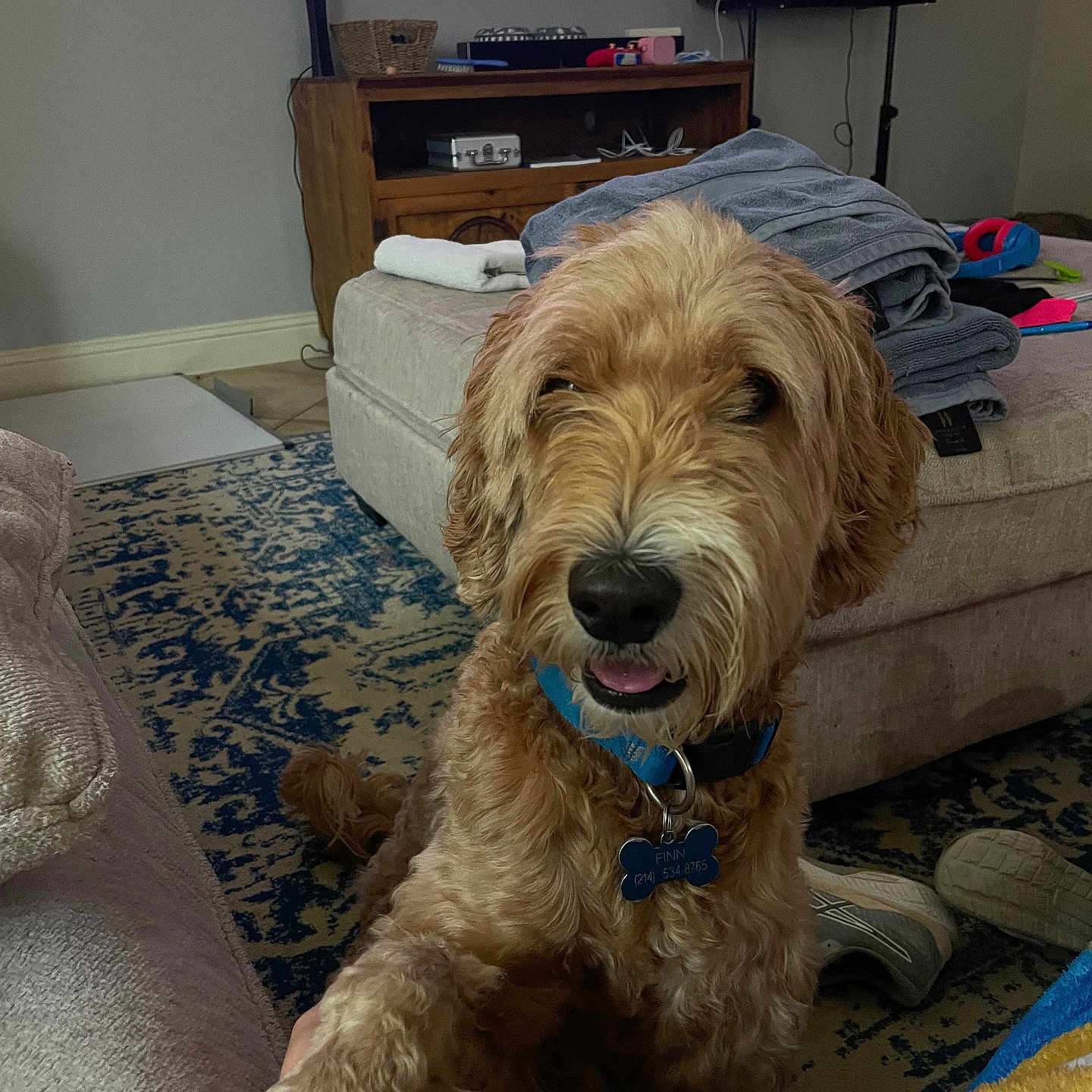 Finn