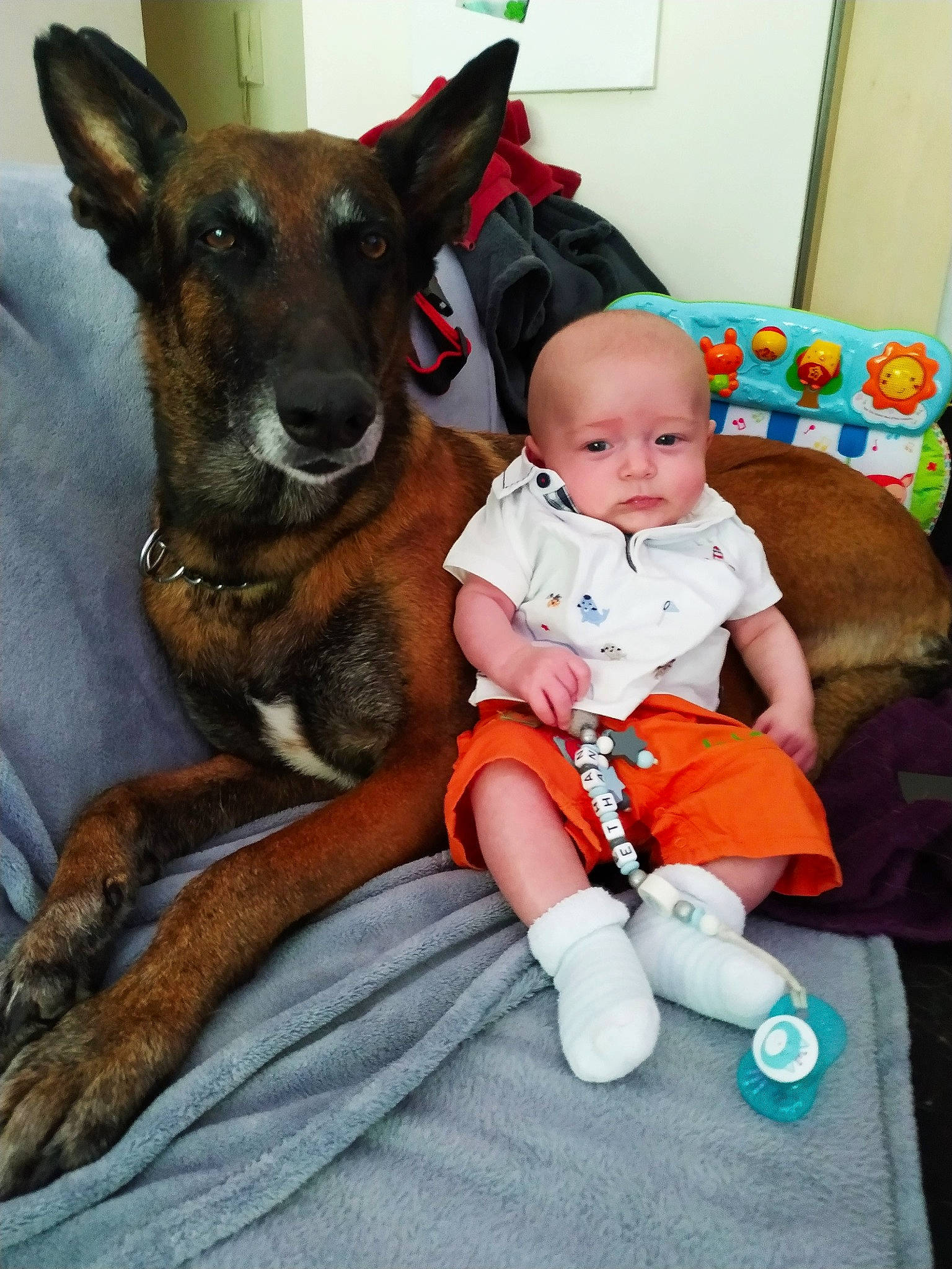 Faya a rejoint le concours — aidez-le/la à gagner de superbes lots ! belgian_shepherd_malinois, canidae, carnivore, child, companion_dog, dog, dog_breed, ear, fawn, german_shepherd_dog, mammal, sitting, toddler