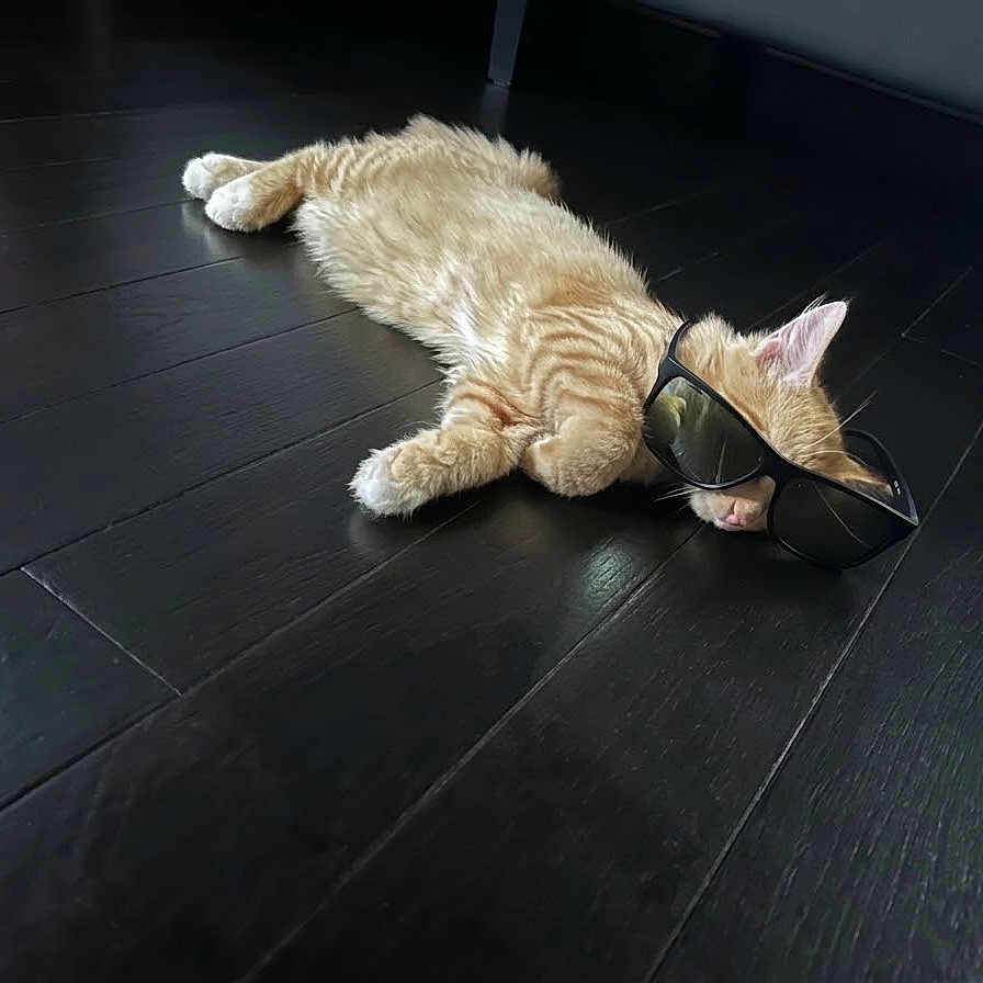Simba