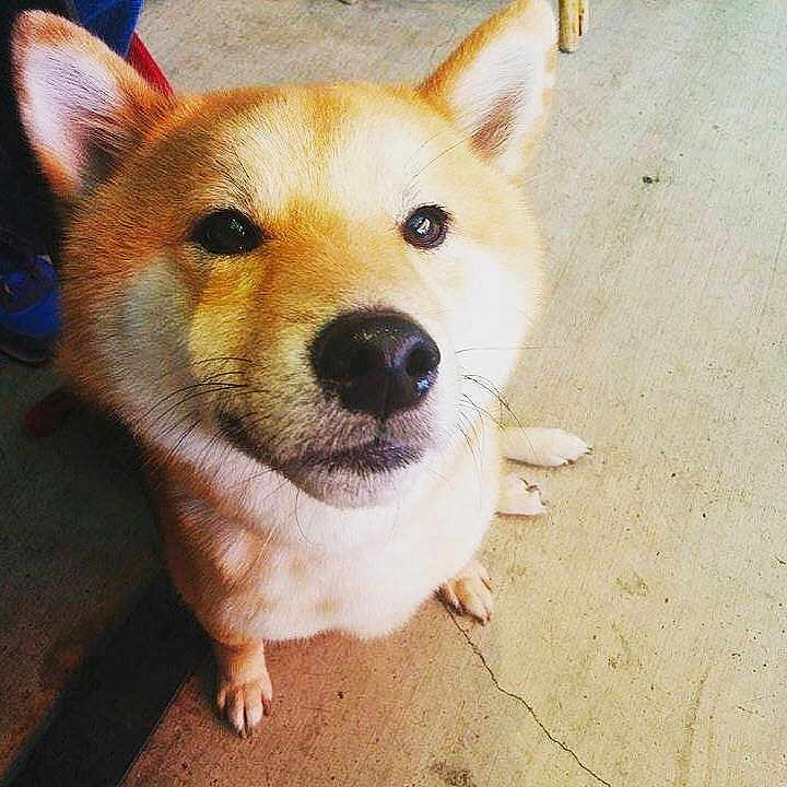 Minho joined the competition — help win amazing prizes!