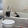 cat, bathtub, bathroom, toilet, soap, shampoo, razor, tile_wall, floor, bathmat, sink, countertop, white, gray, red, pet, indoor, clean, curious, seated