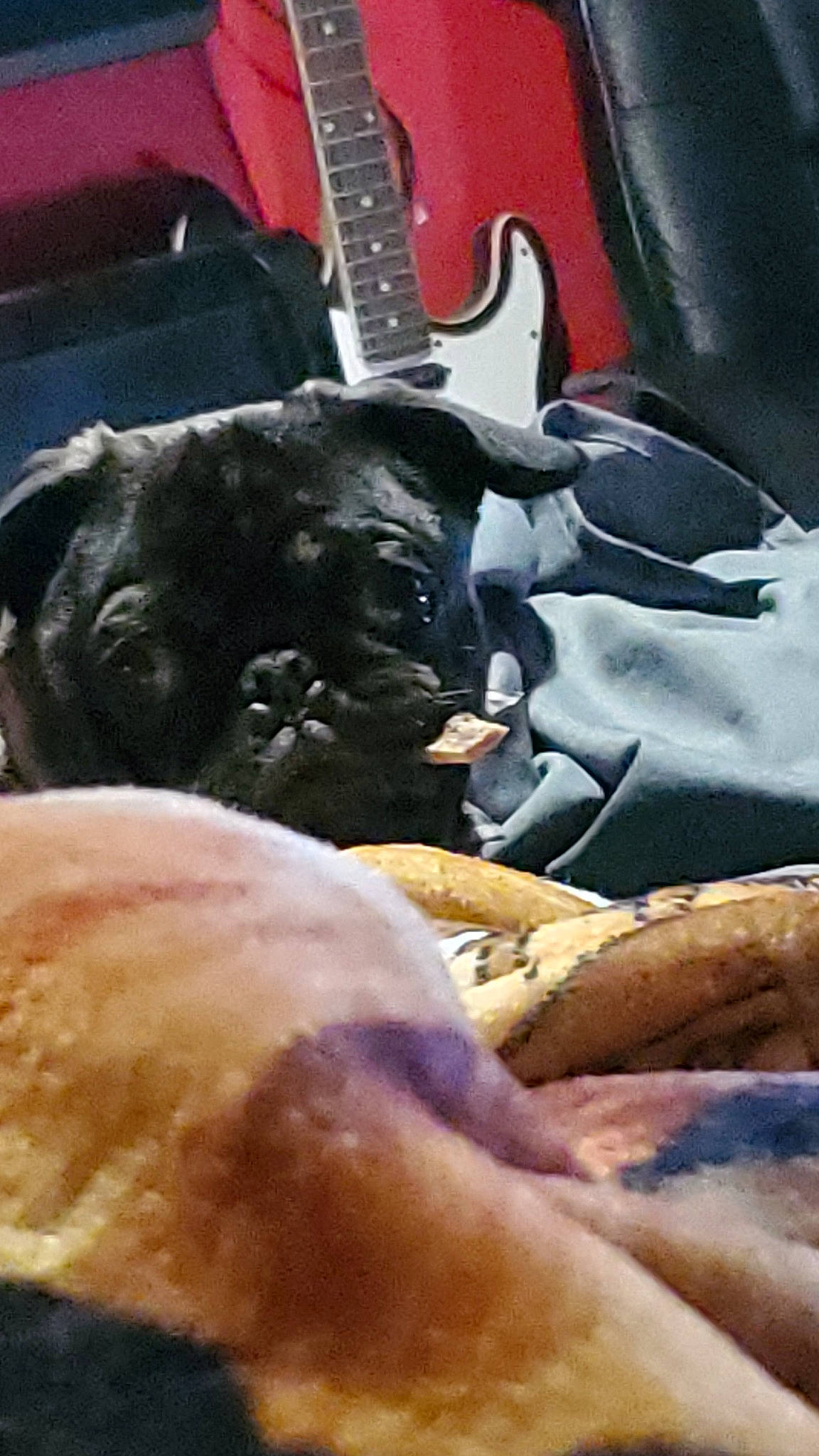 Kimi