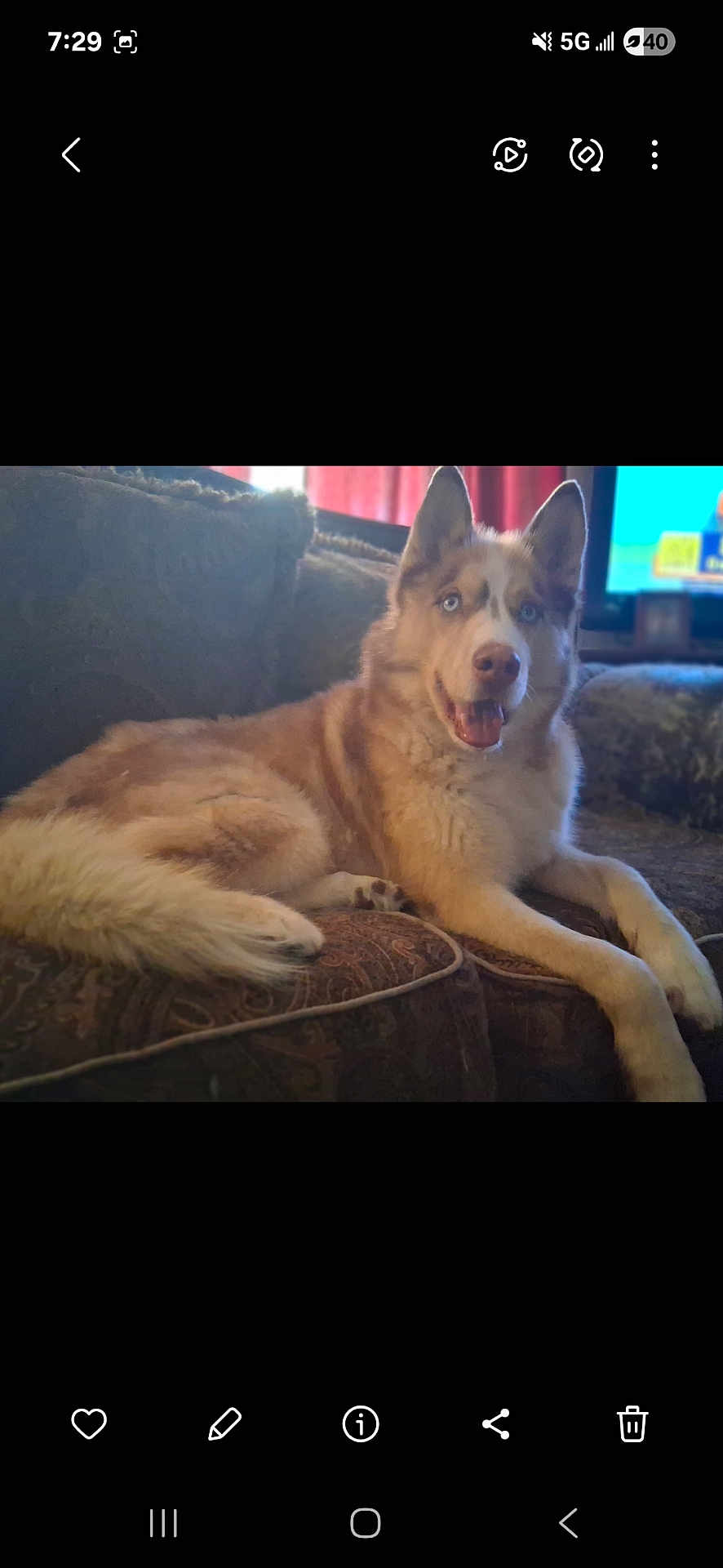 Dakota