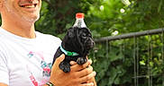 Zoey participe au concours pour gagner de l'argent avec cette photo : man, smiling, puppy, dog, black_dog, pet, holding, bottle_cap, greenery, outdoor, fence, casual_clothing, tattoo, bracelet, collar, portrait, happy, playful, cute, nature