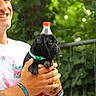man, smiling, puppy, dog, black_dog, pet, holding, bottle_cap, greenery, outdoor, fence, casual_clothing, tattoo, bracelet, collar, portrait, happy, playful, cute, nature