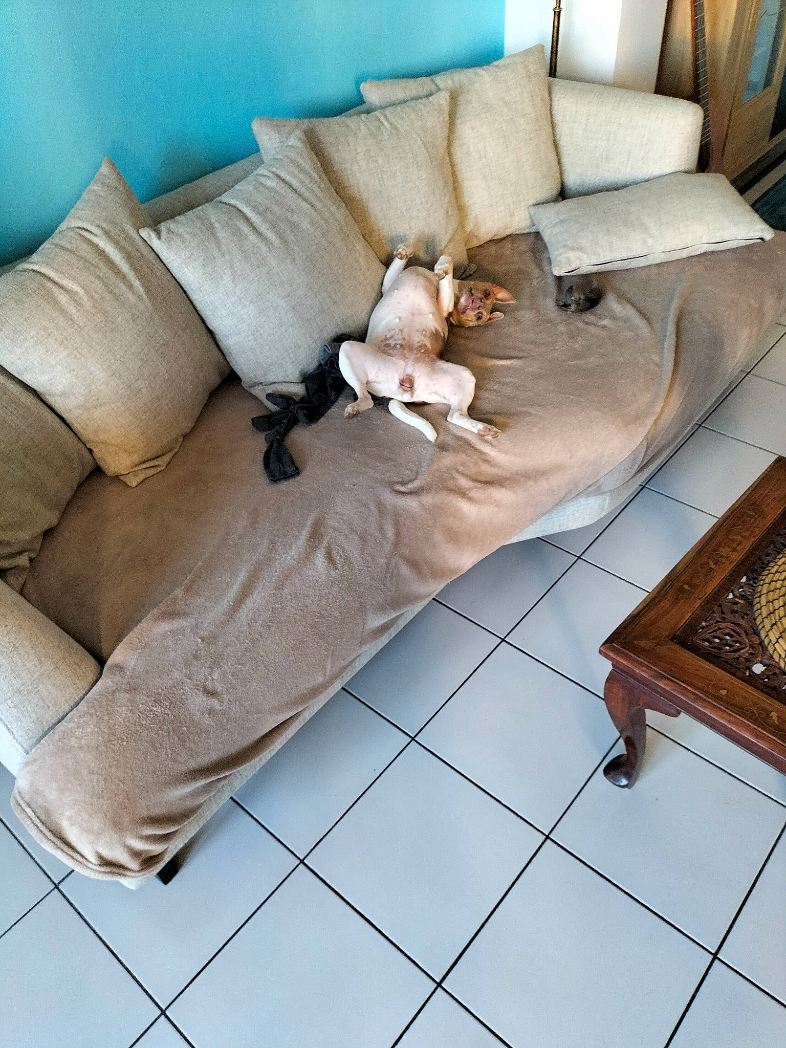 P'Rhune participe au concours pour gagner de l'argent avec cette photo : armrest, beige, comfort, composite_material, couch, floor, flooring, furniture, hardwood, interior_design, living_room, outdoor_furniture, pillow, rectangle, room, sofa_bed, studio_couch, throw_pillow, tile_flooring, wood