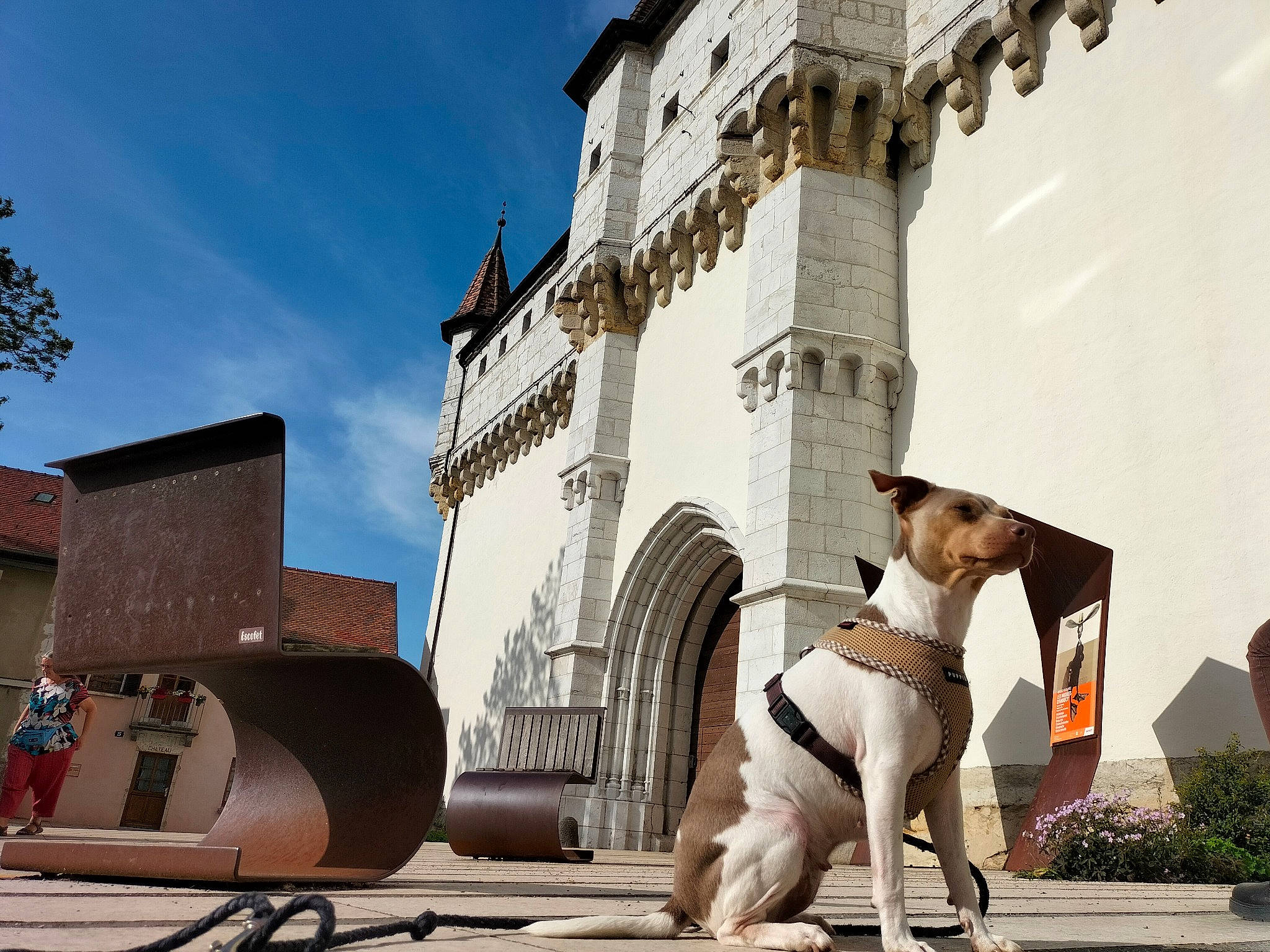 P'Rhune a rejoint le concours — aidez-le/la à gagner de superbes lots ! building, canidae, carnivore, city, companion_dog, facade, fun, historic_site, history, house, human_leg, landscape, leisure, monument, plant, sitting, sky, sporting_group, street, tree