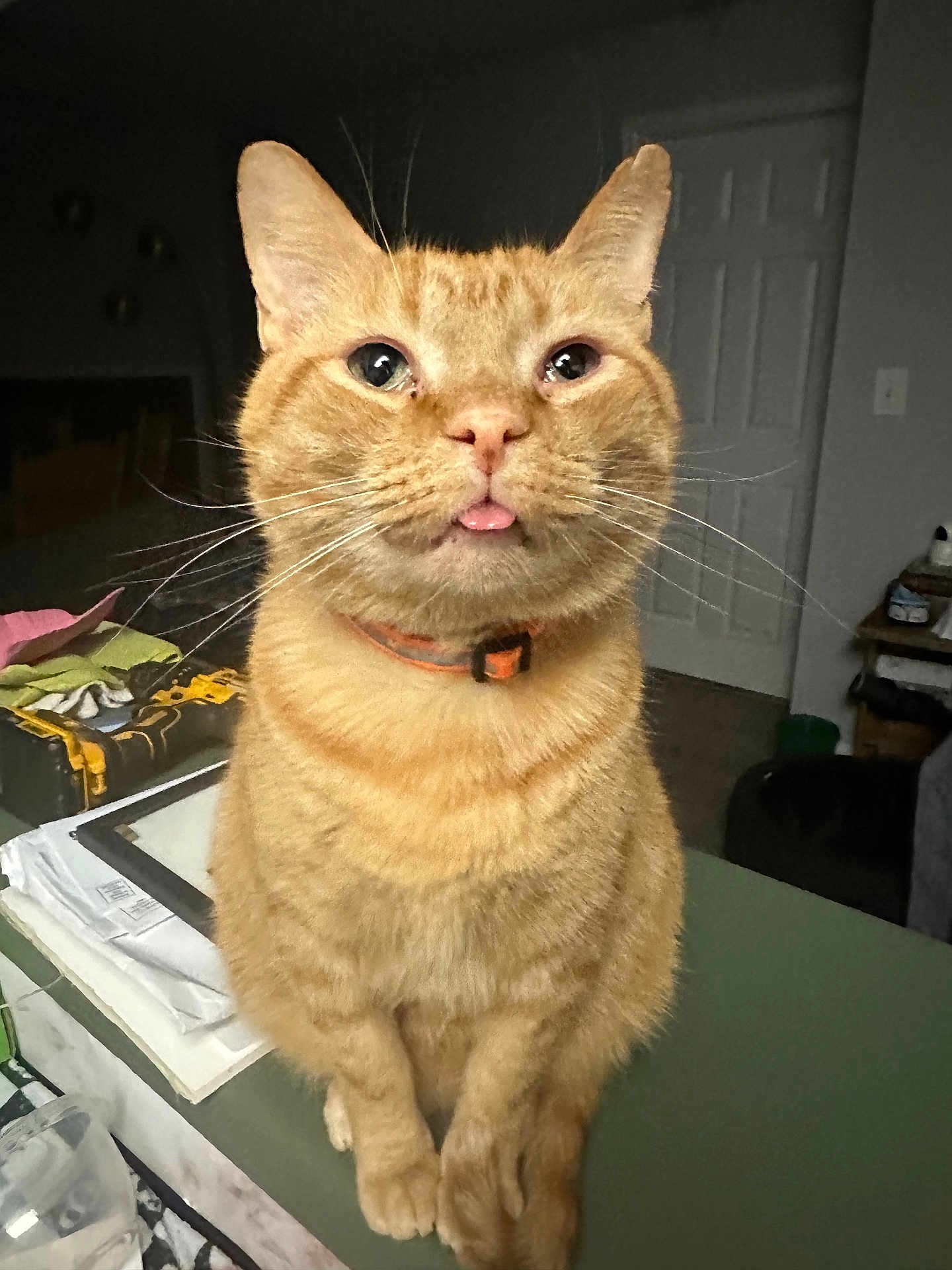 Zuko