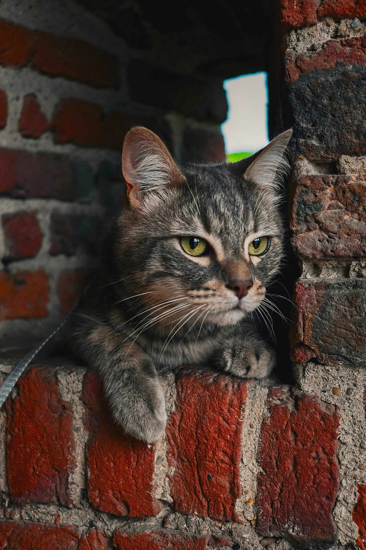 Laïko