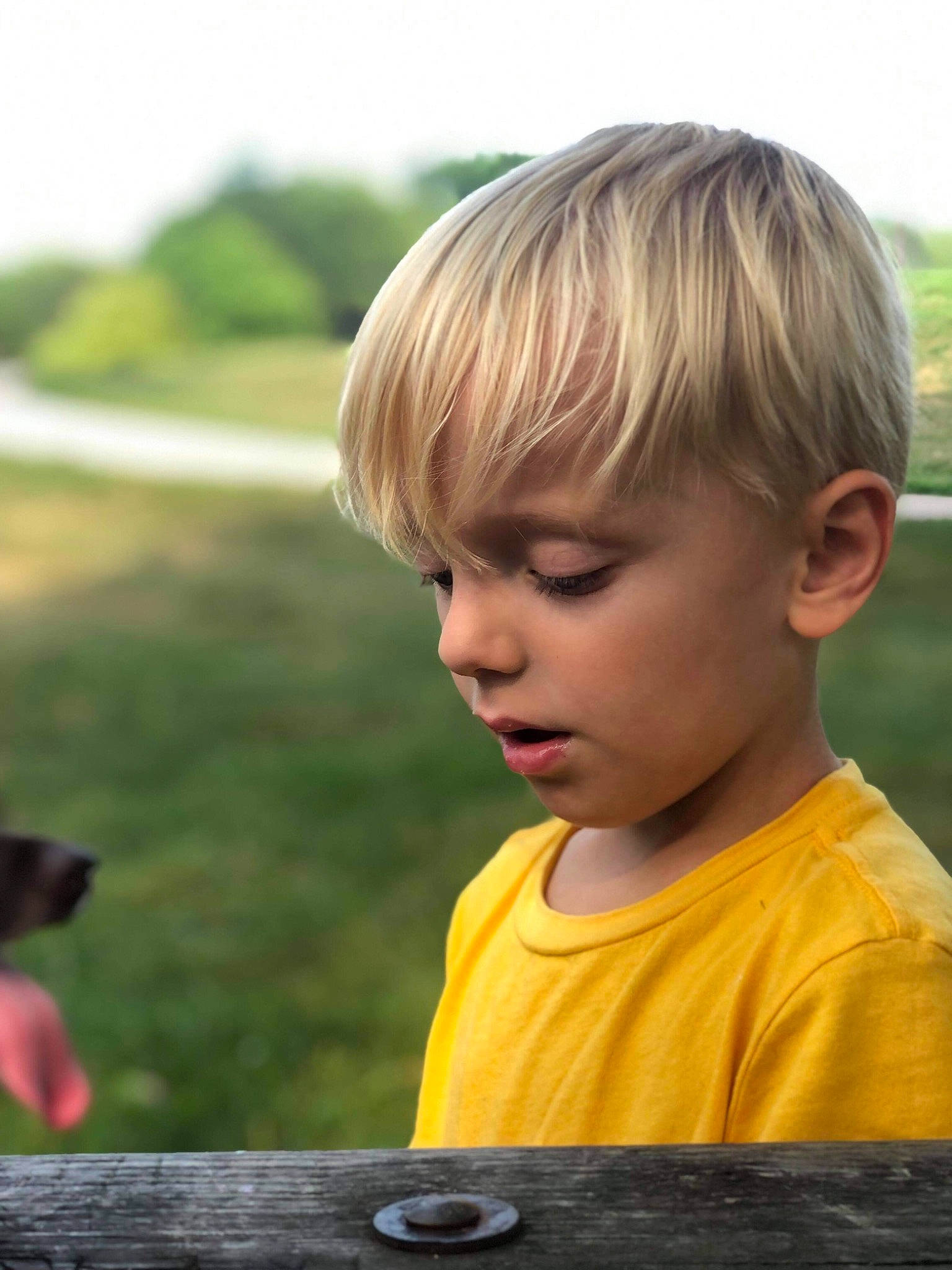 Daxtyn joined the competition — help win amazing prizes! bangs, blond, child, companion_dog, fun, grass, grassland, hairstyle, happy, leisure, people_in_nature, person, play, portrait_photography, sitting, sky, summer, t_shirt, toddler, vacation