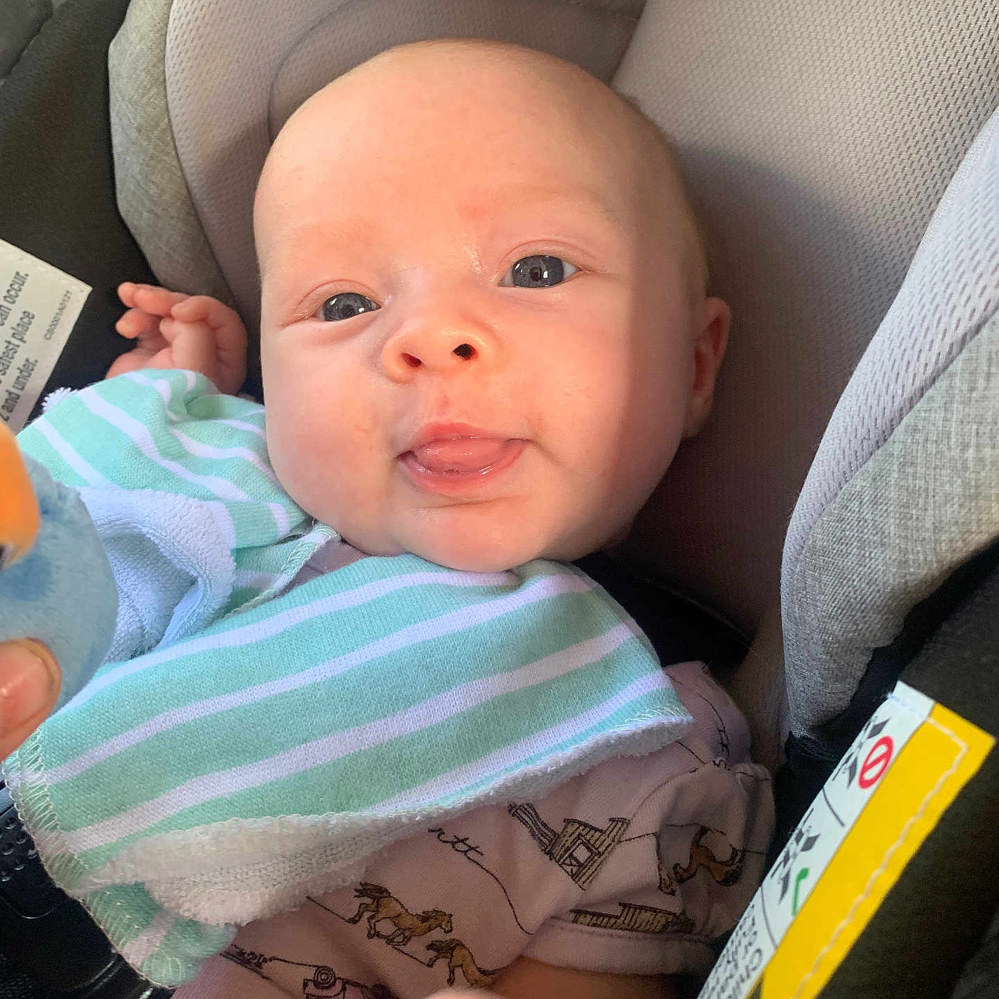 Lizzy joined the competition — help win amazing prizes! baby, bib, car_seat, child, closeup, clothing, cute, expression, face, hand, head, indoor, infant, person, playful, portrait, seatbelt, sitting, striped_bib, young_child