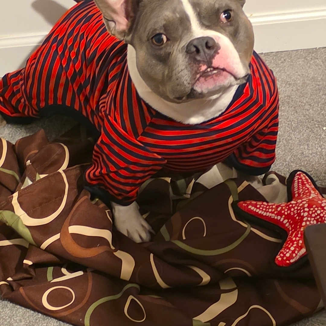Dozer