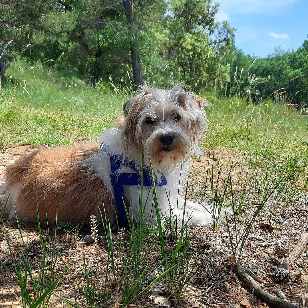 Séverine Marseguerra