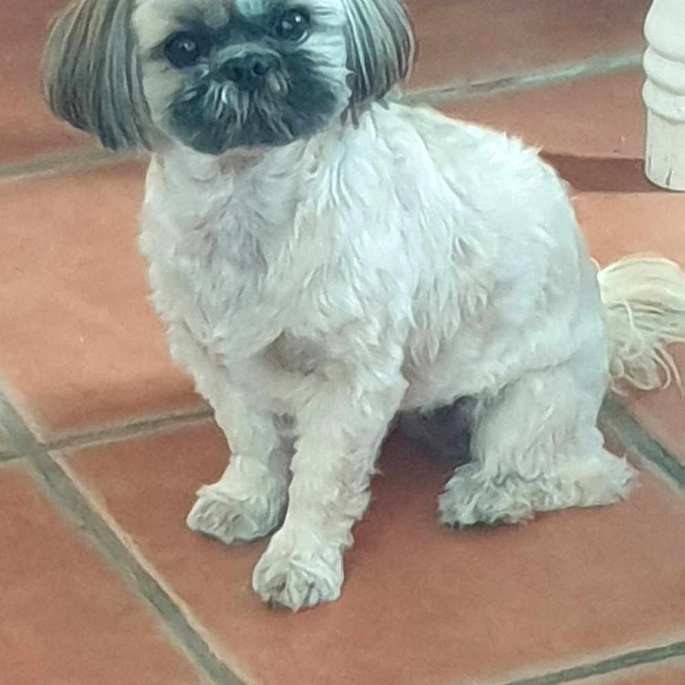 Nala