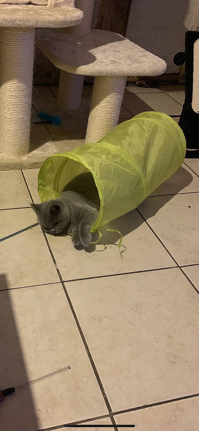 Uno participe au concours pour gagner de l'argent avec cette photo : art, automotive_tire, automotive_wheel_system, concrete, curb, floor, flooring, grass, hardwood, human_leg, metal, plastic, road_surface, sculpture, sidewalk, tail, tile, tile_flooring, tire, wood