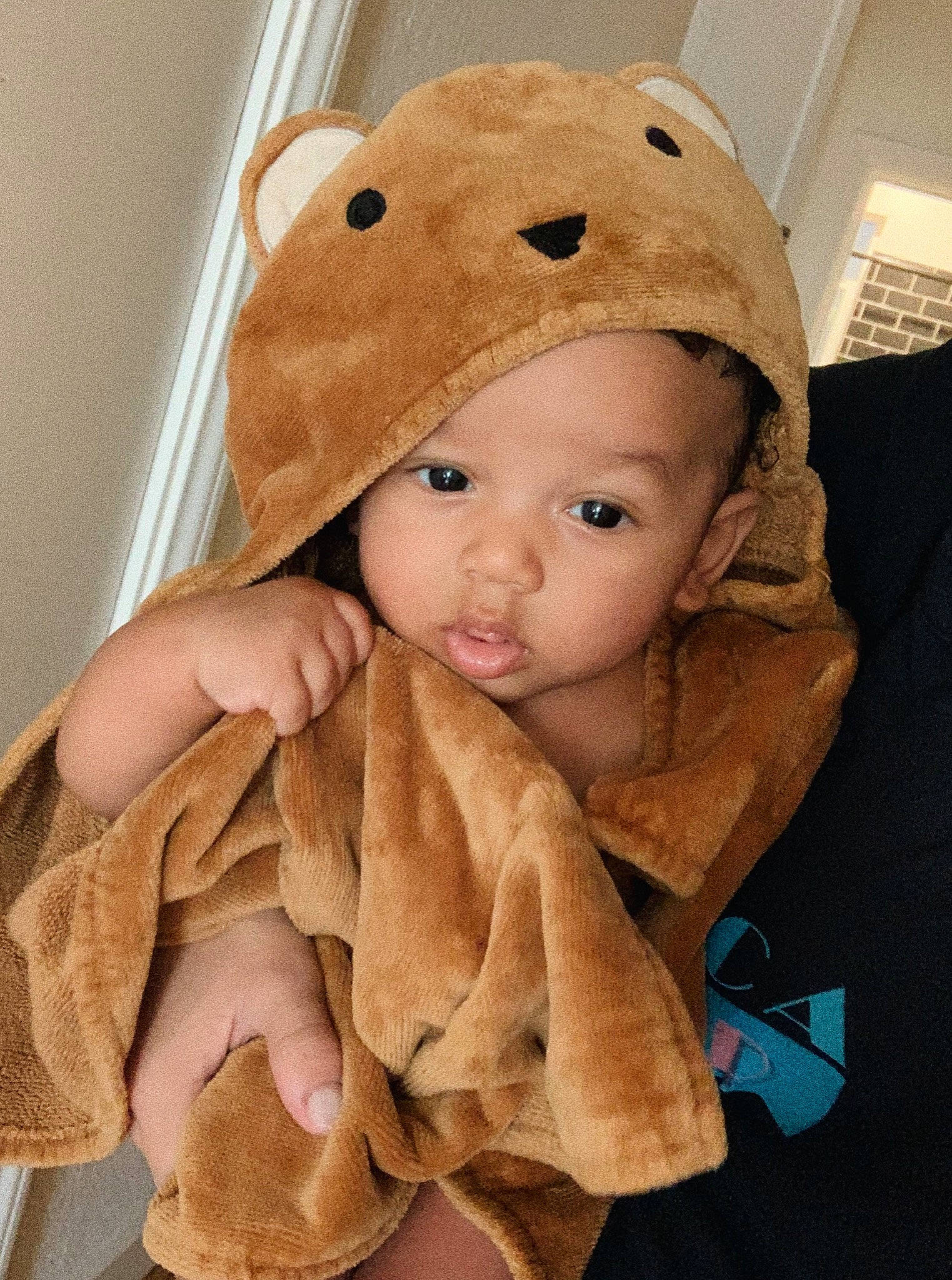 Bear is registered to the contest to win money with this photo: baby, baby_safety, baby_toddler_clothing, cap, cheek, child, chin, comfort, eye, face, fawn, fur, head, headgear, headwear, linens, lip, nose, person, skin