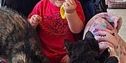 Joshua is registered to the contest to win money with this photo: animal, baby, baby_toy, blanket, caravan, cat, child, furniture, happy, kitten, outdoor, person, pet, porch, red_shirt, smiling, stroller, tree, vehicle, yellow_toy
