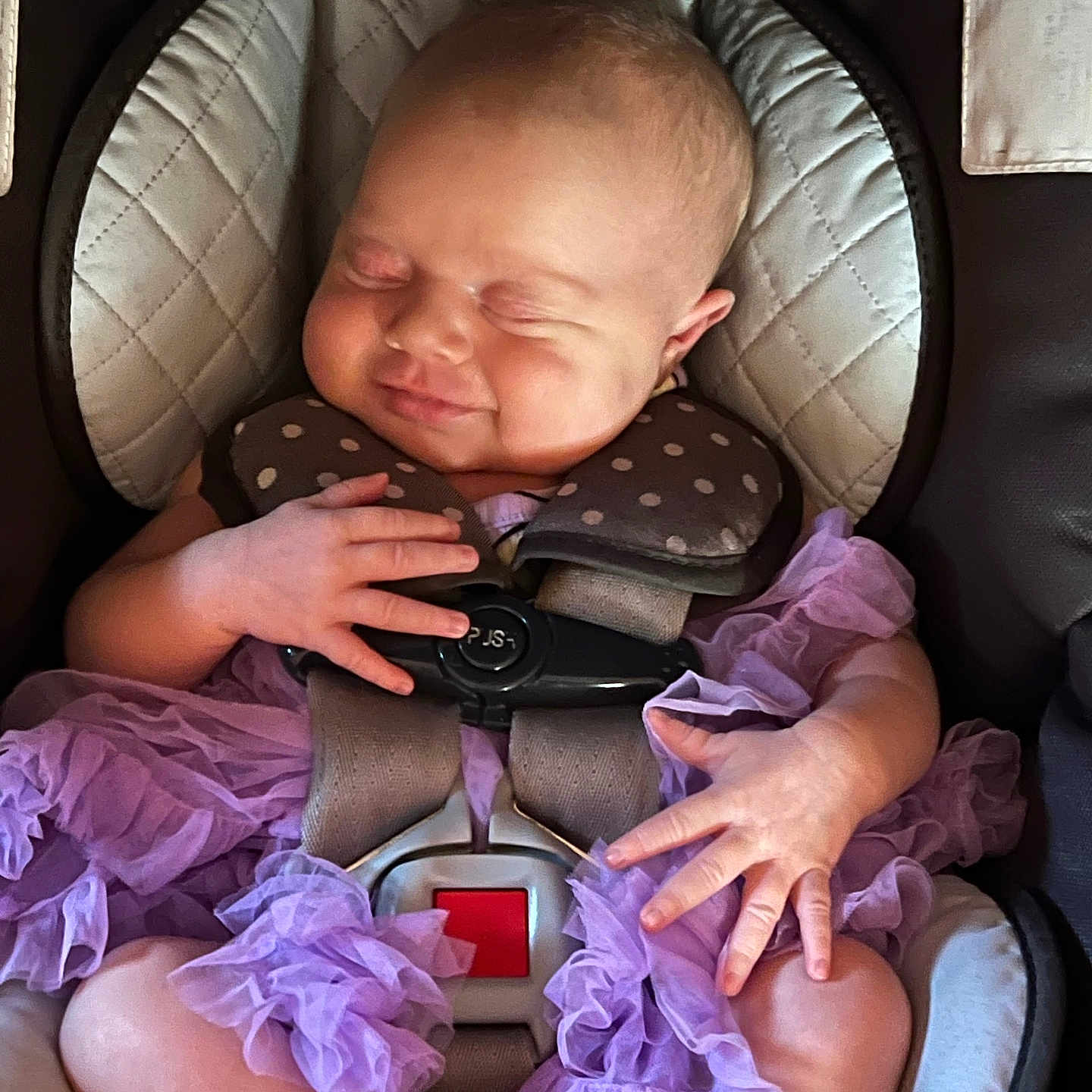 Hazely is registered to the contest to win money with this photo: baby, car_seat, child, comfort, cute, fabric, face, hands, head, infant, legs, polka_dot, purple_dress, resting, seat, seatbelt, sleeping, smiling, soft, young_child