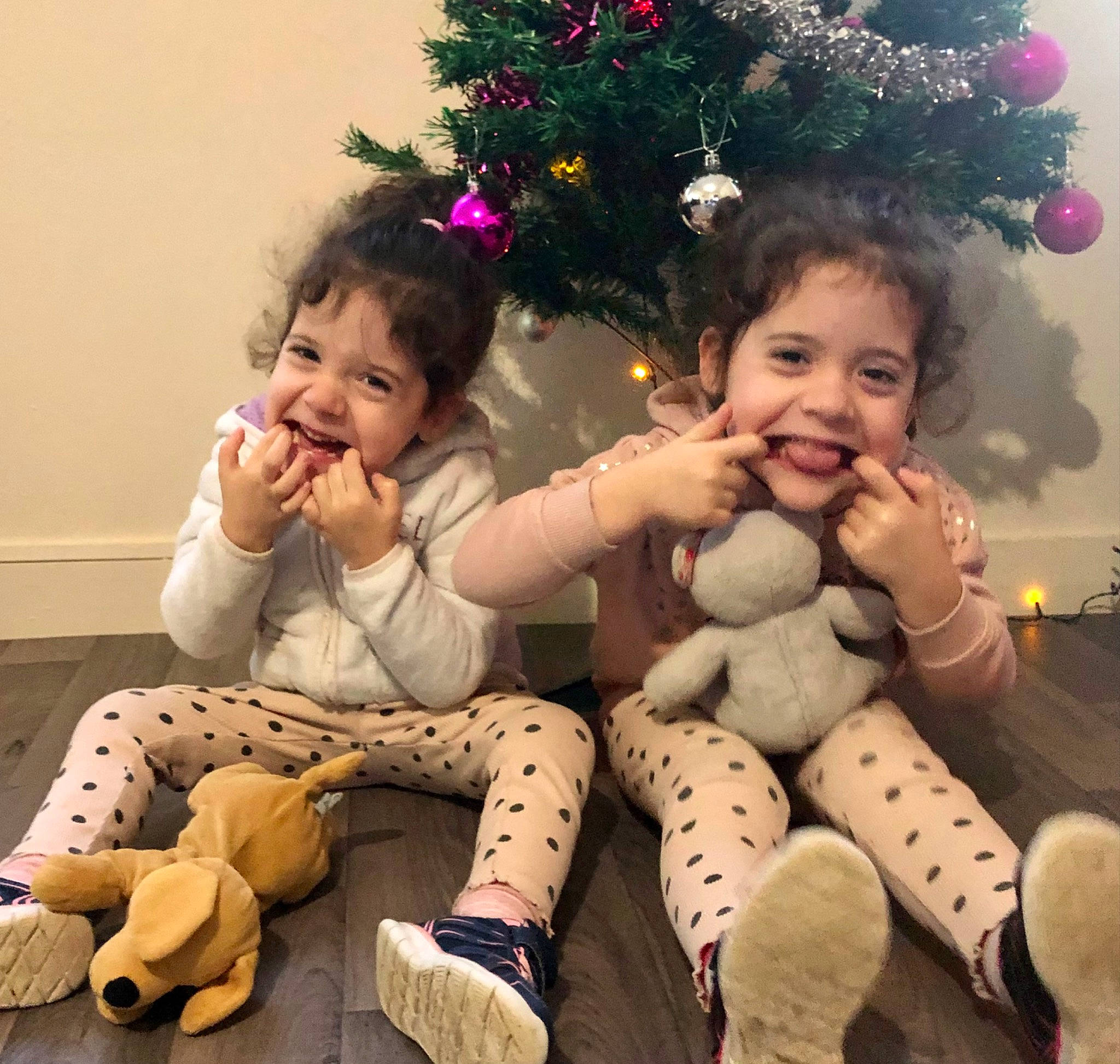 Louana Vaïana participe au concours pour gagner de l'argent avec cette photo : christmas_tree, eye, facial_expression, fawn, finger, fun, hair, hairstyle, happy, head, human, human_body, interaction, joy, lap, leg, organ, person, photograph, skin