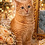 bokeh_lights, cat, closeup, cute, decor, elegant, feline, flower_arrangement, fluffy_rug, golden_frame, green_eyes, indoor, luxury, orange_tabby, ornate, pearl_necklace, portrait, rose_flowers, soft_lighting, still_life