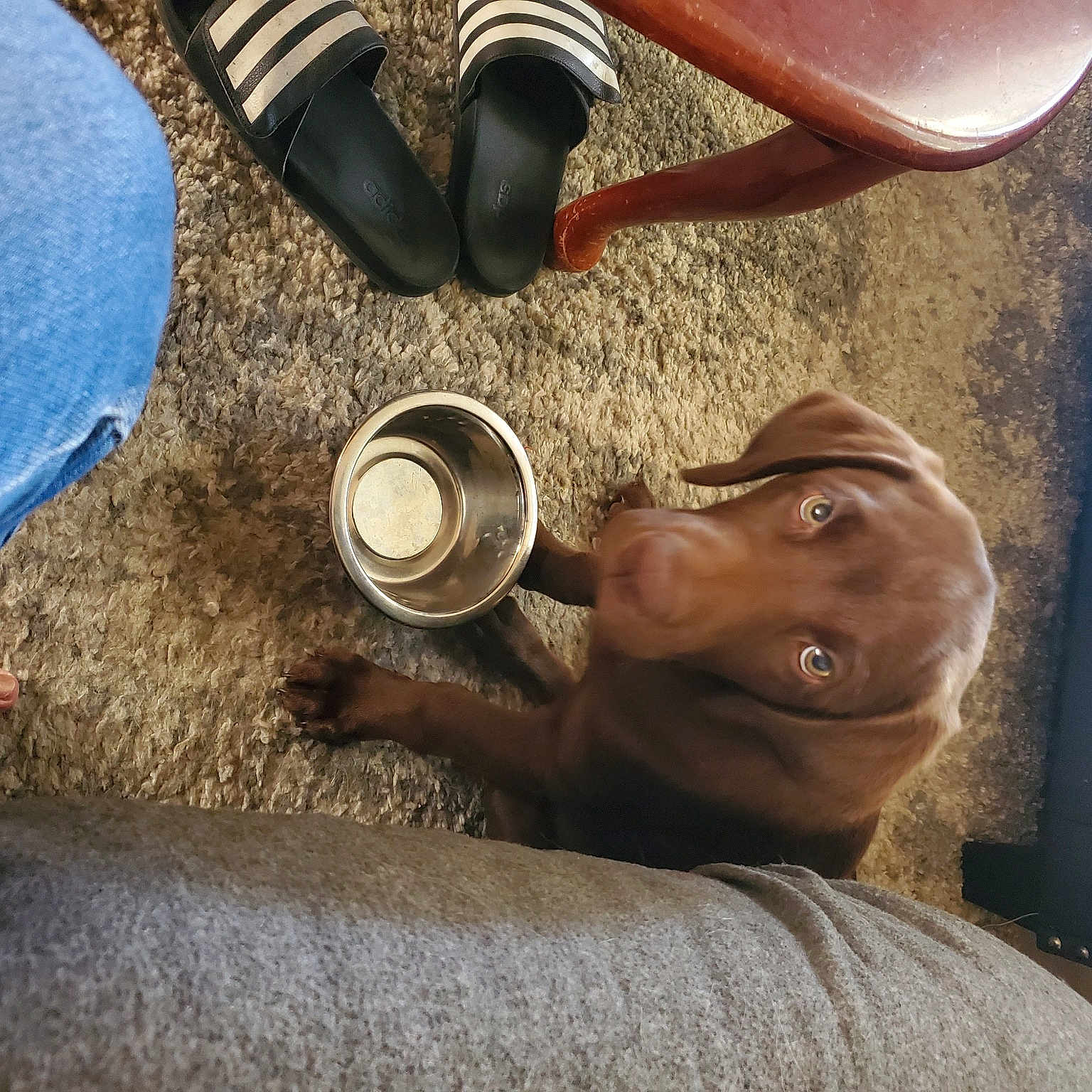 Rose is registered to the contest to win money with this photo: auto_part, drinkware, eyewear, fawn, foot, footwear, hat, human_leg, knee, leg, nail, personal_protective_equipment, sitting, soil, sun_hat, tableware, thigh, wood, working_animal, wrinkle