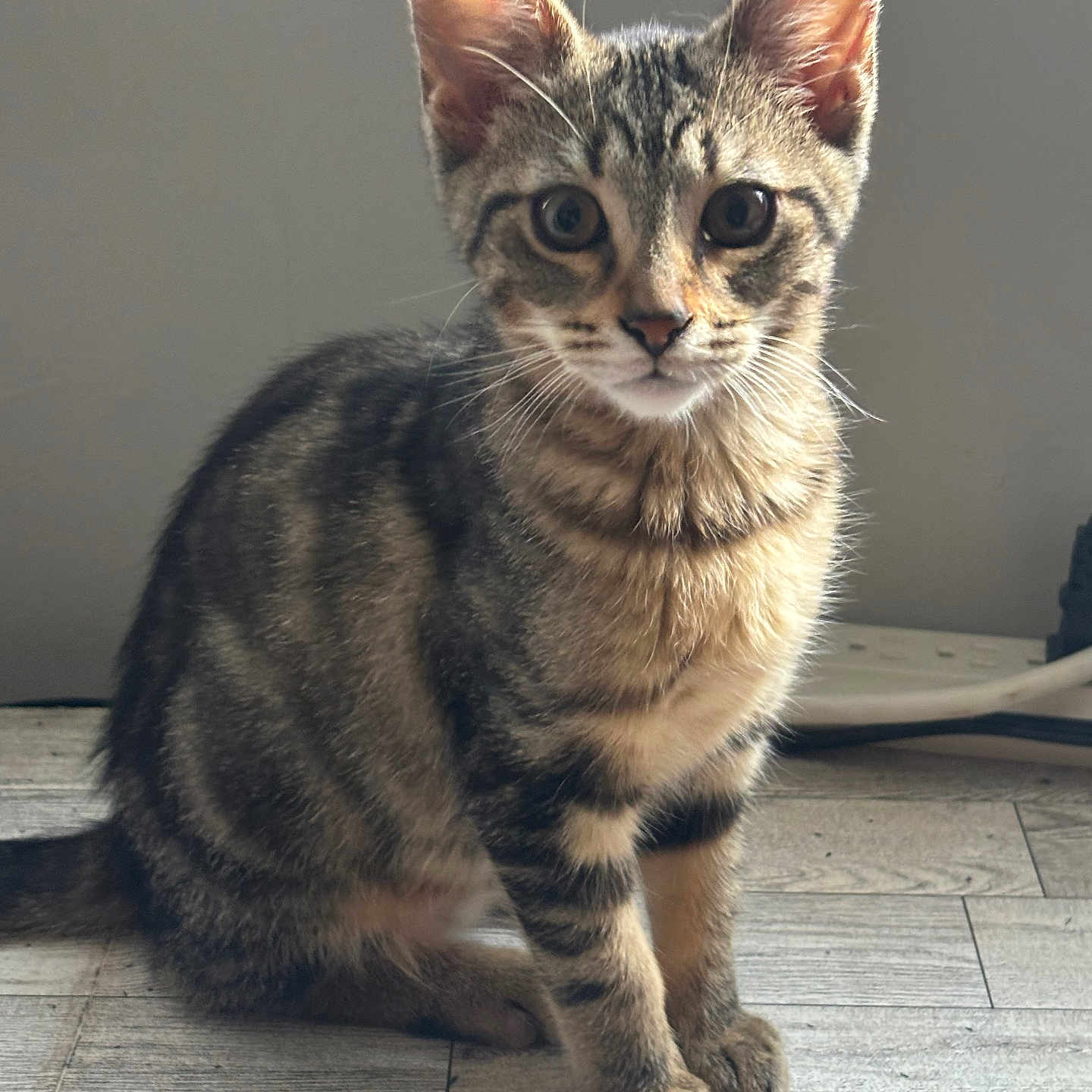 Nala